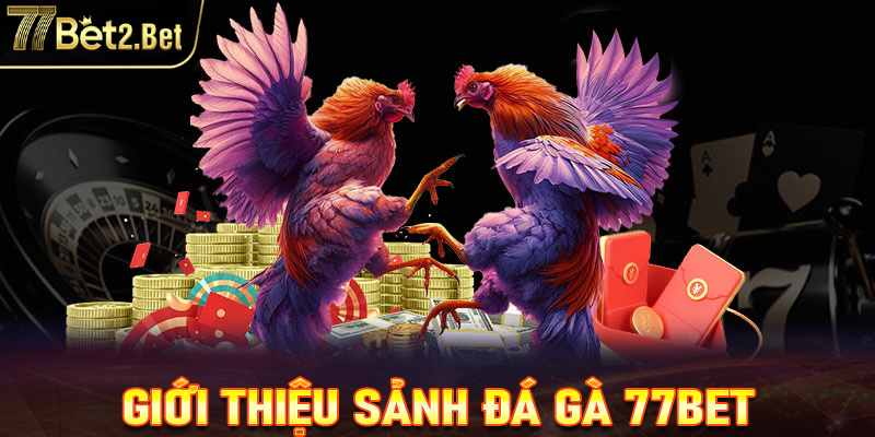 Giới thiệu về sảnh chơi đá gà tại 77Bet