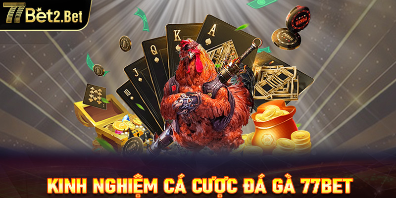 Một số kinh nghiệm khi chơi đá gà tại nhà cái 77Bet
