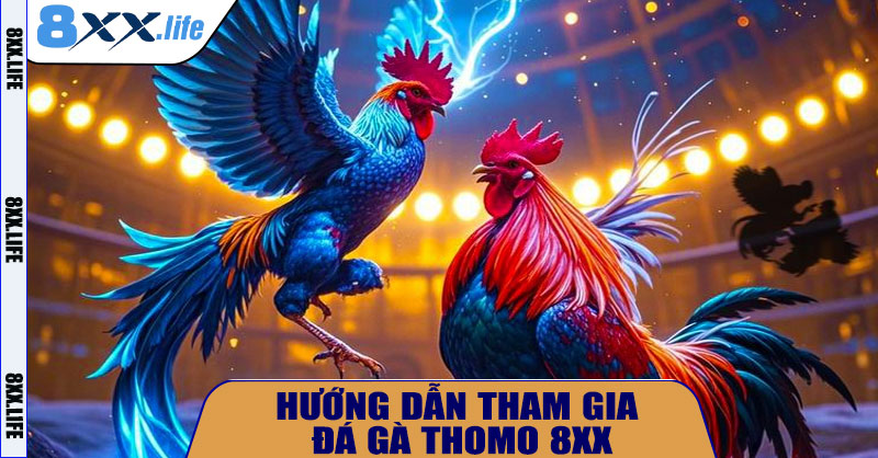 Hướng Dẫn Tham Gia Đá Gà Thomo 8XX